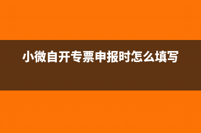 小微自开专票申报时怎么填写