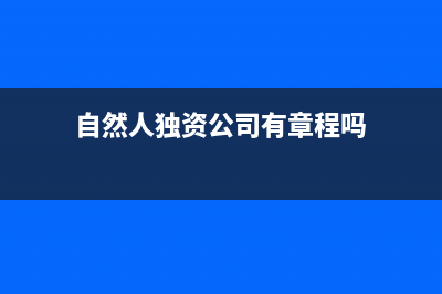 自然人独资公司的税收(自然人独资公司有章程吗)