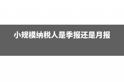 小规模纳税人是不是每个季度申报一次就可以(小规模纳税人是季报还是月报)