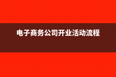 电子商务公司开票有哪些类目(电子商务公司开业活动流程)