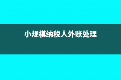 小规模纳税人外汇账户怎么开(小规模纳税人外账处理)