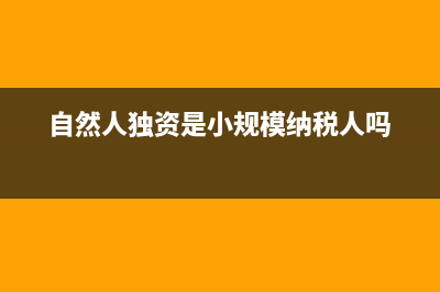 自然人独资是小规模吗(自然人独资是小规模纳税人吗)