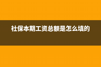 社保本期工资总额是怎么填的