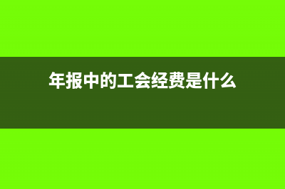 年报中的工会经费如何填写(年报中的工会经费是什么)