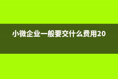 小微企业要交几种税(小微企业一般要交什么费用2019)