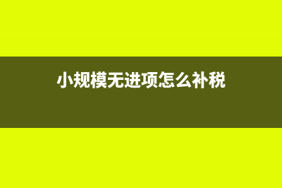 小规模无进项怎么做账(小规模无进项怎么补税)