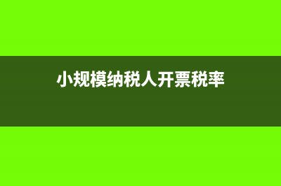 小规模纳税人开专票可以退税吗(小规模纳税人开票税率)