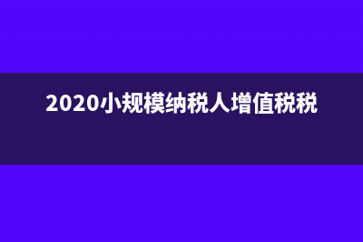 2020小规模纳税人增值税申报表(2020小规模纳税人增值税税率)