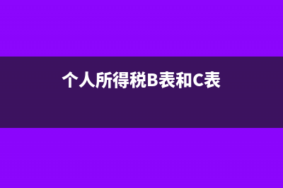 个人所得税b表投资者减除费用怎么填(个人所得税B表和C表)