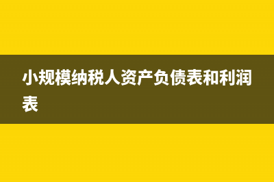 小规模纳税人资金账簿印花税怎么计算(小规模纳税人资产负债表和利润表)