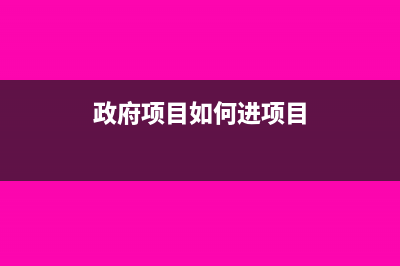 政府项目如何进行申报(政府项目如何进项目)