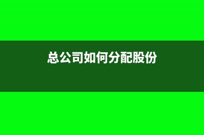 总公司如何分配所得税(总公司如何分配股份)
