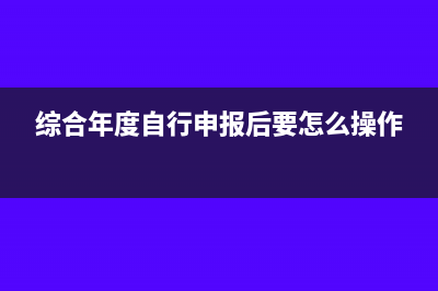 全年综合申报怎么填写(综合年度自行申报后要怎么操作)
