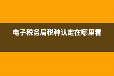 电子税务局税种核定在哪里填写(电子税务局税种认定在哪里看)