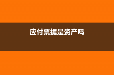 应付票据在资产负债表怎么填(应付票据是资产吗)