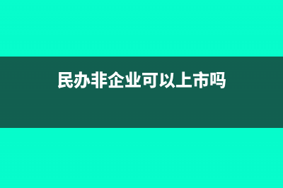 民办非企业可以盈利吗(民办非企业可以上市吗)