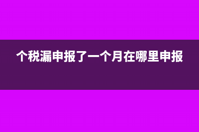 个税漏申报了一个月可以补申报吗(个税漏申报了一个月在哪里申报)
