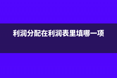 利润分配在利润表哪里体现(利润分配在利润表里填哪一项)