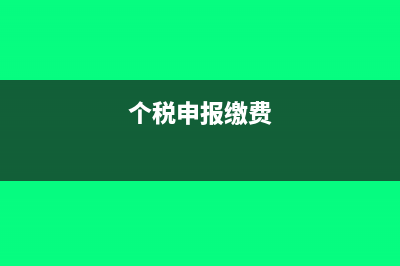 个税系统缴纳生产经营所得个税可以用公司账户交吗(个税申报缴费)