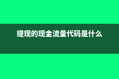 提现的现金流量项目怎么填(提现的现金流量代码是什么)