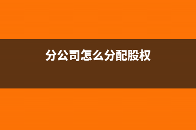 分公司根据分配数填报所得税季报吗(分公司怎么分配股权)