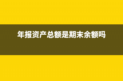 年报资产总额能填0吗(年报资产总额是期末余额吗)