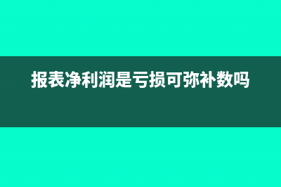 报表净利润是亏损可弥补数吗