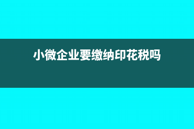 小微企业要缴纳企业所得税吗(小微企业要缴纳印花税吗)