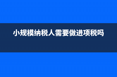 小规模需要进项发票吗(小规模纳税人需要做进项税吗)