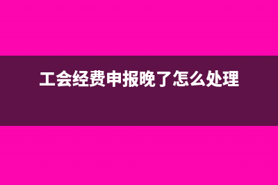 工会经费申报逾期怎么补申报(工会经费申报晚了怎么处理)