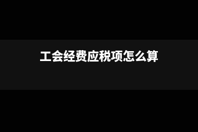 工会经费应税项填什么(工会经费应税项怎么算)