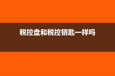 报税盘和税控钥匙的区别(税控盘和税控钥匙一样吗)