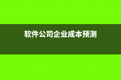 软件公司企业成本是什么(软件公司企业成本预测)