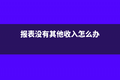 报表没有其他收益(报表没有其他收入怎么办)