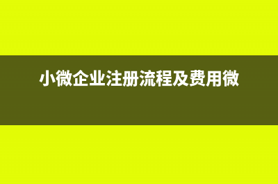 小微企业注册流程怎么做账(小微企业注册流程及费用微)