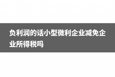 负利润的话小型微利企业减免企业所得税吗