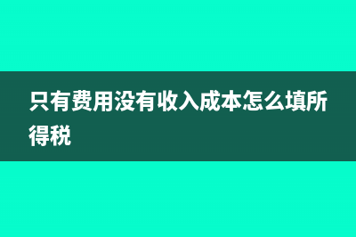 只有费用没有收入怎么报税(只有费用没有收入成本怎么填所得税)