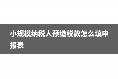 小规模纳税人预缴税款如何填报(小规模纳税人预缴税款怎么填申报表)