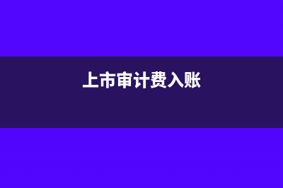 上市审计费计入什么科目(上市审计费入账)