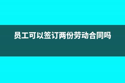 员工能不能同时在二家公司申报个税(员工可以签订两份劳动合同吗)