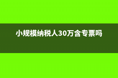 小规模30万含专票吗(小规模纳税人30万含专票吗)