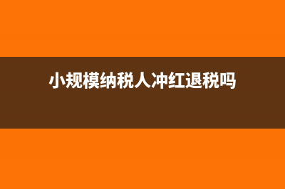 小规模纳税人冲红免税额怎么填增值税申报表(小规模纳税人冲红退税吗)