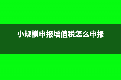 小规模申报增值税有差2分如何处理(小规模申报增值税怎么申报)