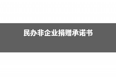 民办非企业捐赠计入哪个科目(民办非企业捐赠承诺书)