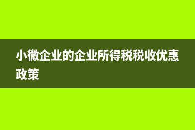小微企业a201030表怎么填(小微企业的企业所得税税收优惠政策)