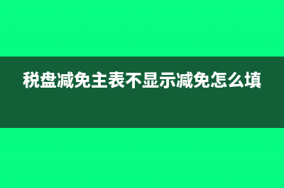税盘减免主表不显示减免怎么填