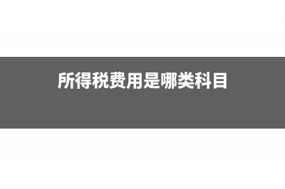 所得税费用那一栏是填累计数吗(所得税费用是哪类科目)