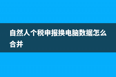自然人个税申报系统如何导出申报明细(自然人个税申报换电脑数据怎么合并)