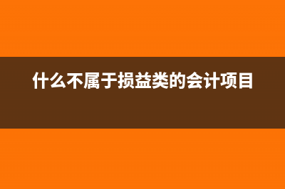 什么不属于损益类的会计科目(什么不属于损益类的会计项目)