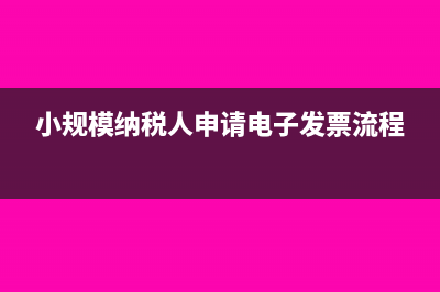小规模纳税人申报表怎么填(小规模纳税人申请电子发票流程)